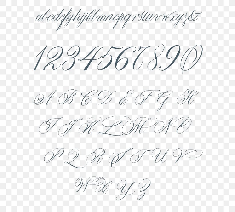 Font Italic Type Calligraphy Cursive Typeface, PNG, 600x740px, Italic Type, Alphabet, Area, Black And White, Calligraphy Download Free