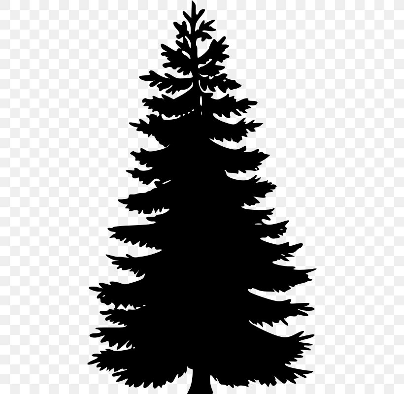 Pine Tree Fir Spruce Clip Art, PNG, 466x800px, Pine, Art, Black And White, Branch, Christmas Decoration Download Free