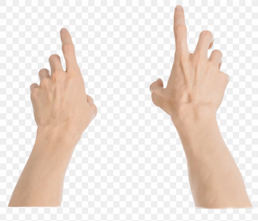 American Sign Language Hand Finger, PNG, 2940x2523px, Sign Language, American Sign Language, Arm, Baby Sign Language, Drawing Download Free