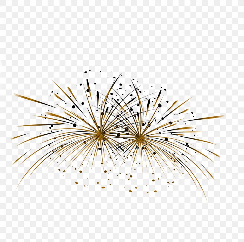 Fireworks Vecteur, PNG, 1439x1424px, Fireworks, Artificier, Designer, Drawing, Lighting Download Free