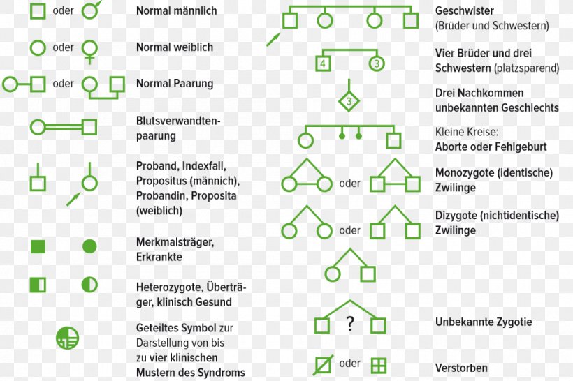 Genealogy Family Tree Document Diagram, PNG, 950x633px, Genealogy, Chart, Diagram, Document, Family Download Free
