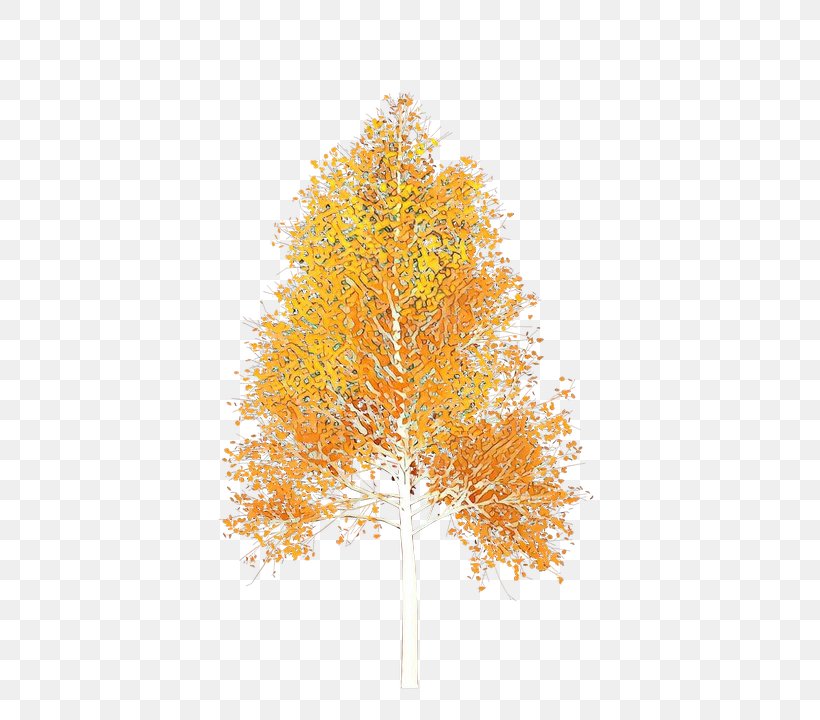 Orange, PNG, 720x720px, Cartoon, Leaf, Orange, Plant, Tree Download Free