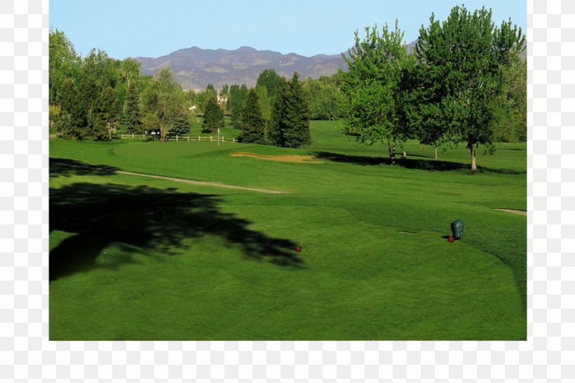 Indian Tree Golf Club Golf Course Golf Clubs The US Open (Golf) Pitch And Putt, PNG, 1024x683px, Golf Course, Arvada, Golf, Golf Club, Golf Clubs Download Free