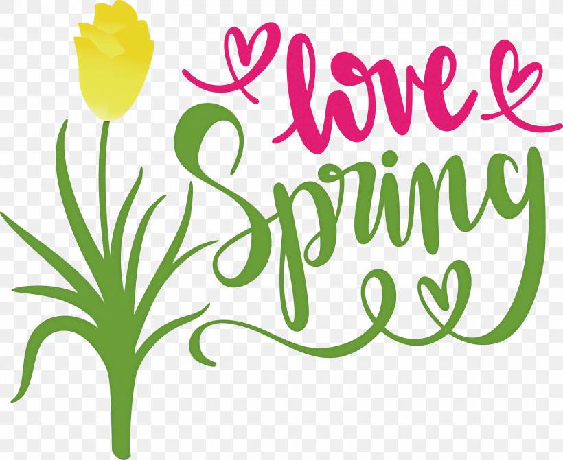 Love Spring Spring, PNG, 3000x2458px, Spring, Cut Flowers, Floral Design, Flower, Leaf Download Free