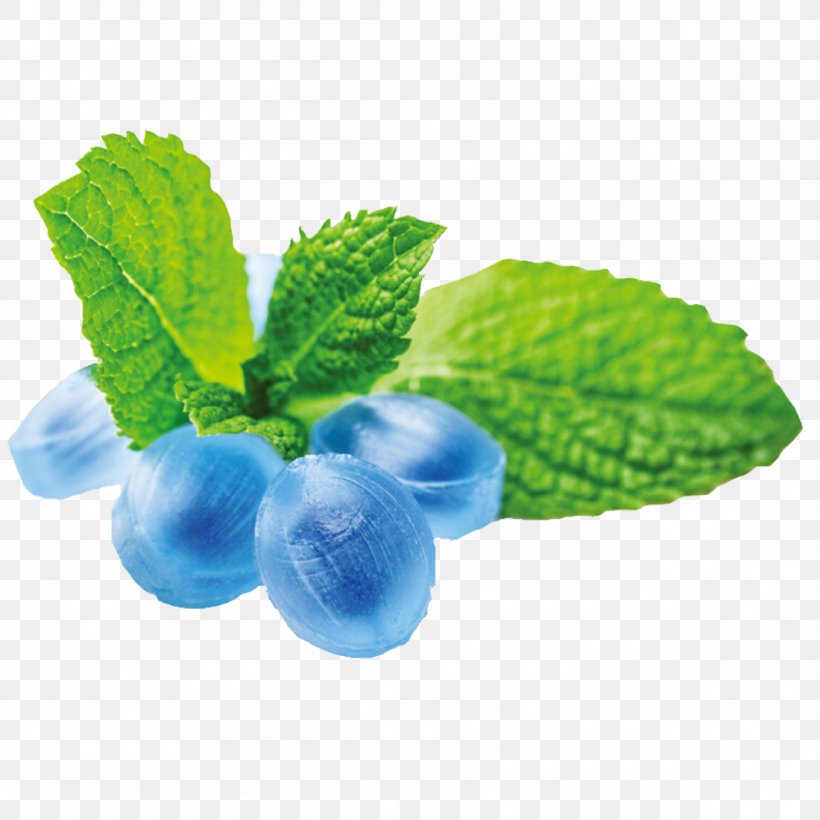 Peppermint Mentha Spicata Flavor Candy, PNG, 1100x1100px, Peppermint, Berry, Bilberry, Blueberry, Blueberry Tea Download Free