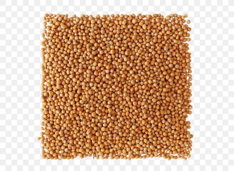 Spice Cereal Sprouted Wheat Condiment Health, PNG, 600x600px, Spice, Antimicrobial, Ayurveda, Cereal, Cereal Germ Download Free