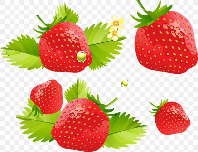 Strawberry Cream Cake Ice Cream Cheesecake Fruit Salad, PNG, 857x658px, Strawberry, Accessory Fruit, Aedmaasikas, Berry, Cake Download Free