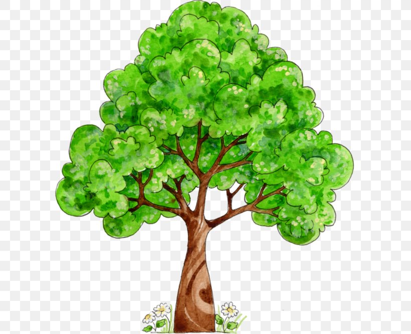Tree Oak, PNG, 600x666px, Tree, Banyan Tree Holdings, Branch, Drawing, Houseplant Download Free