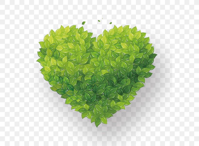 Vector Graphics Clip Art Image, PNG, 600x600px, Leaf, Drawing, Grass, Green, Heart Download Free