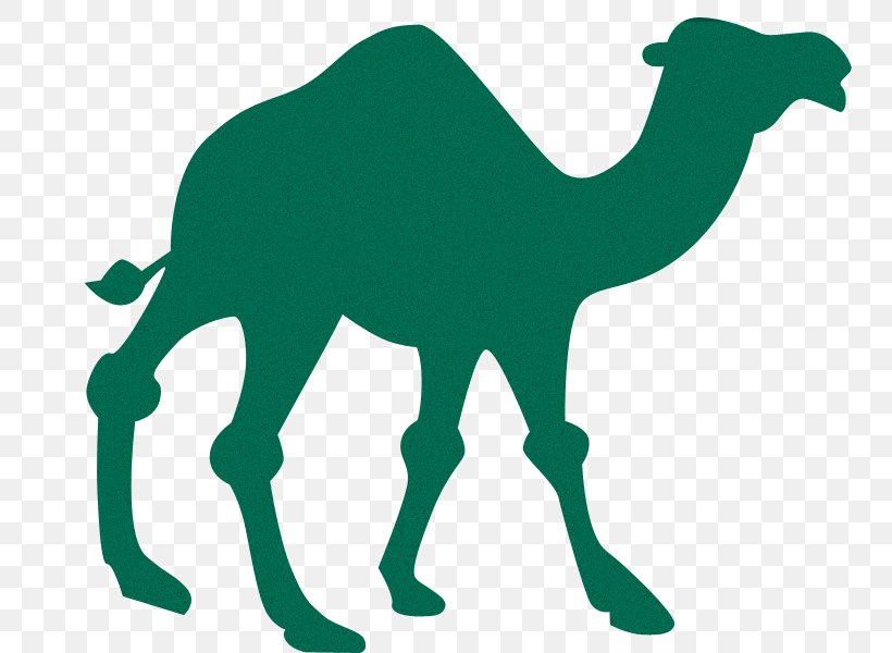 Bactrian Camel Dromedary Silhouette Clip Art, PNG, 800x600px, Bactrian Camel, Animal Figure, Arabian Camel, Camel, Camel Like Mammal Download Free