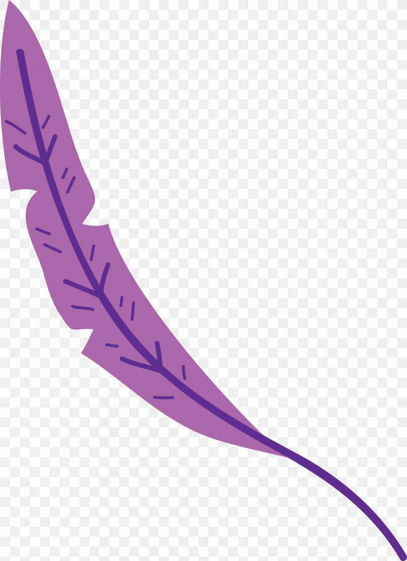 Feather, PNG, 2177x3000px, Leaf Cartoon, Angle, Feather, Leaf Abstract, Leaf Clipart Download Free