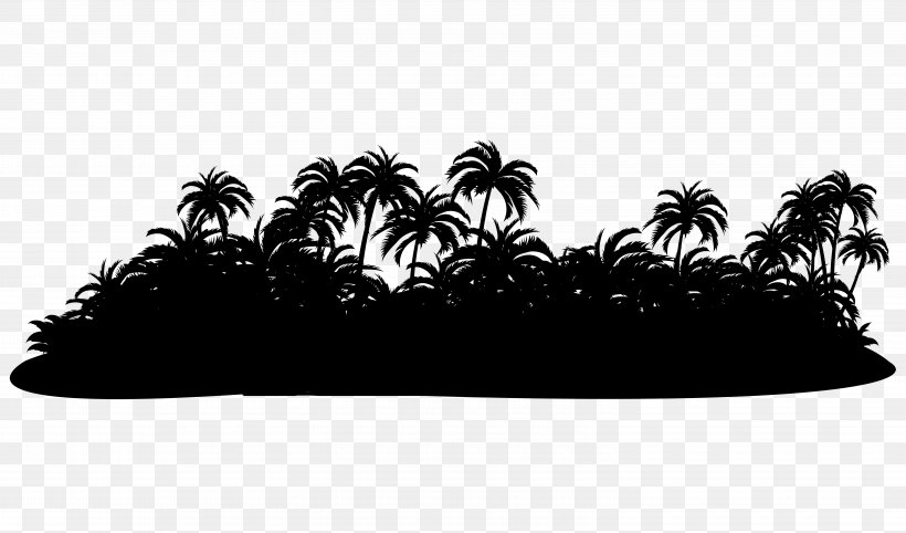 Palm Trees Desktop Wallpaper Computer Silhouette Font, PNG, 6000x3528px, Palm Trees, Arecales, Attalea Speciosa, Black, Blackandwhite Download Free