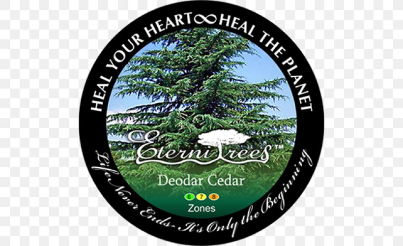 Urn Fir Blue Jacaranda Tree Deodar Cedar, PNG, 500x500px, Urn, Blue Jacaranda, Blue Spruce, Cedar, Christmas Ornament Download Free
