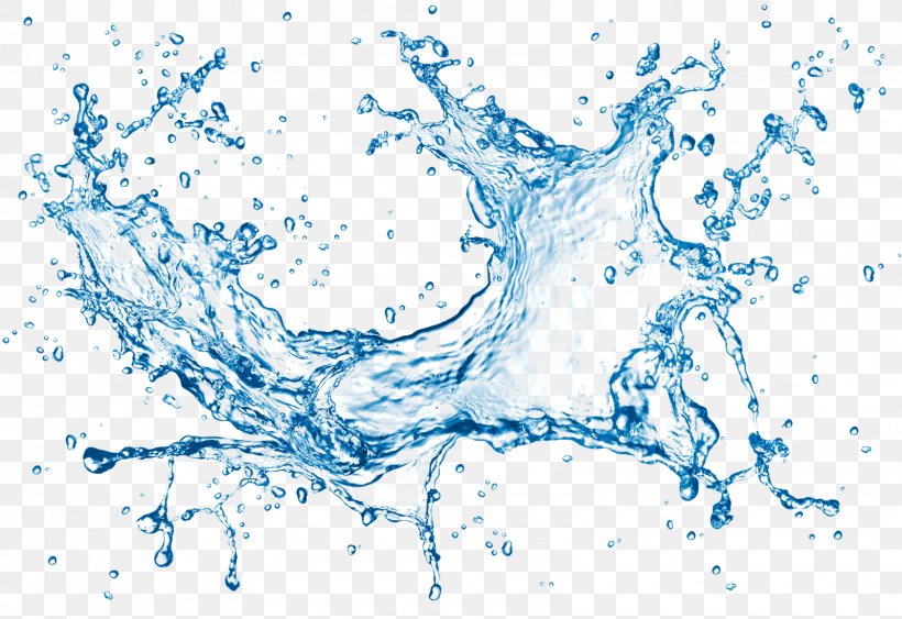 Water Clip Art, PNG, 1600x1100px, Water, Blue, Drop, Ocean, Organism Download Free