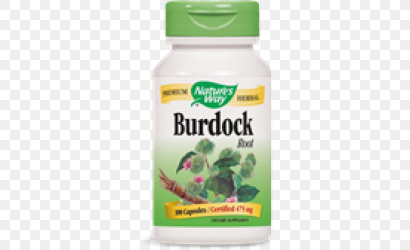 Dietary Supplement Greater Burdock Nutrient Herb Root, PNG, 500x500px, Dietary Supplement, Burdock, Capsule, Chlorella, Extract Download Free