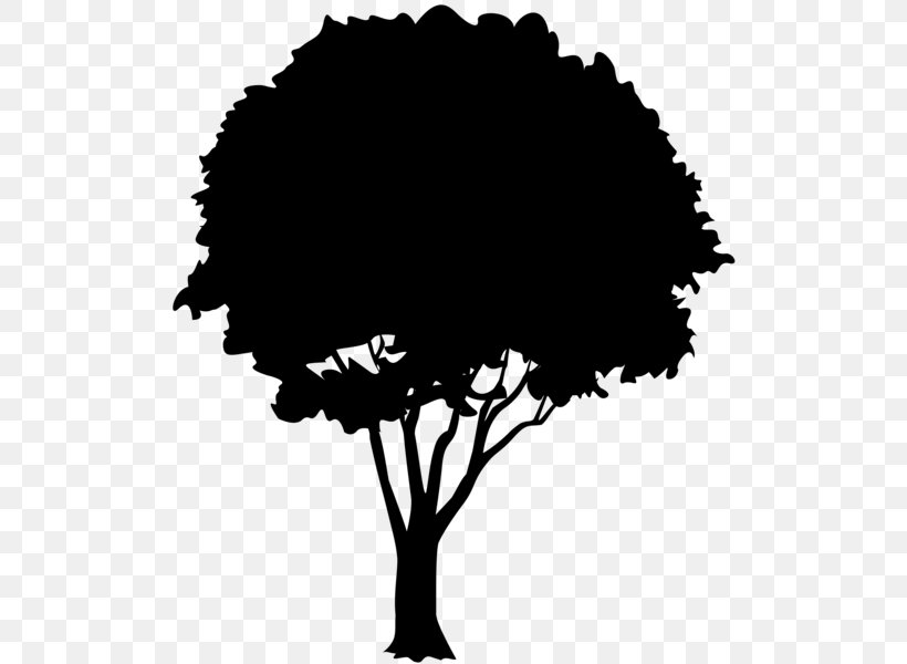 Clip Art Oak Silhouette Vector Graphics Image, PNG, 513x600px, Oak, Art ...