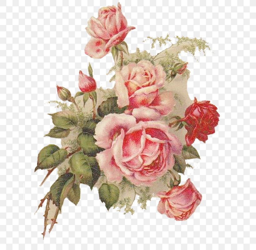 Garden Roses Cabbage Rose Cut Flowers Floral Design, PNG, 670x800px, Garden Roses, Artificial Flower, Cabbage Rose, Cut Flowers, Dawanda Download Free