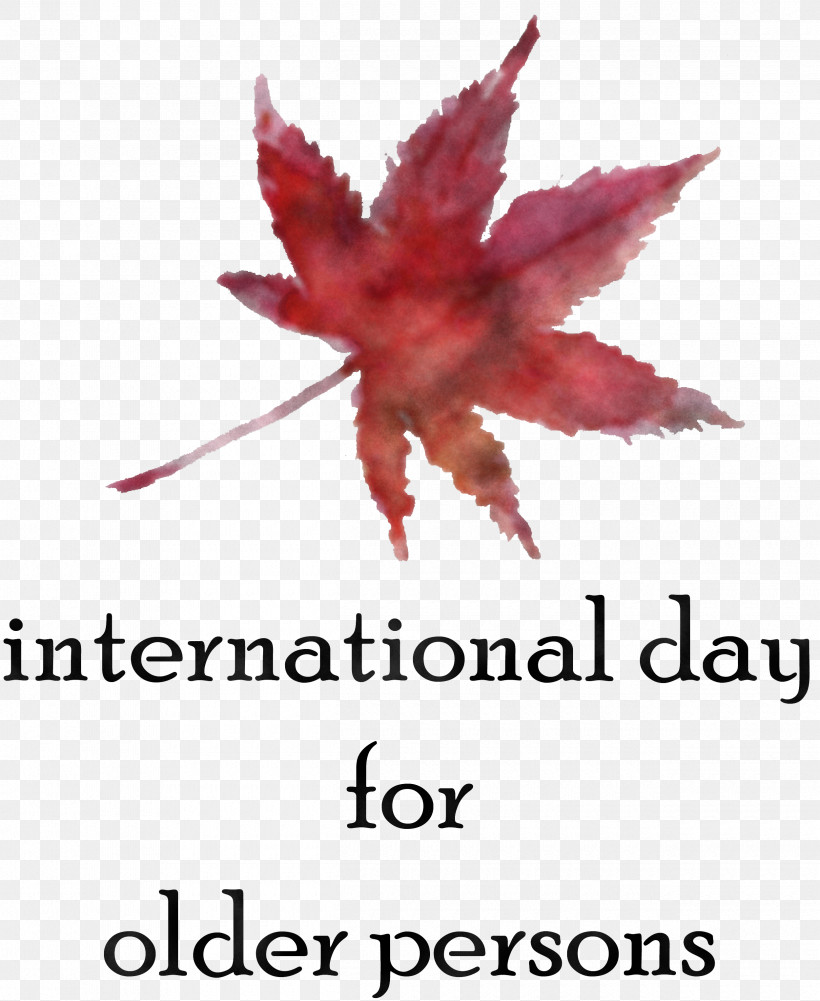 International Day For Older Persons, PNG, 2500x3054px, International Day For Older Persons, Flower, Geometry, Leaf, Line Download Free