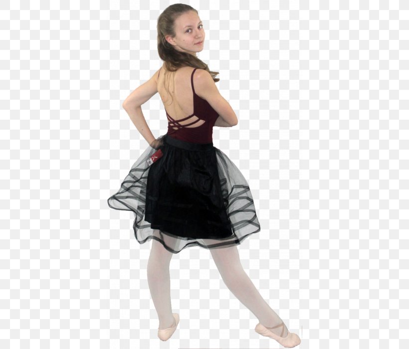 Skirt Costume Tutu Waist Dress, PNG, 800x700px, Watercolor, Cartoon, Flower, Frame, Heart Download Free