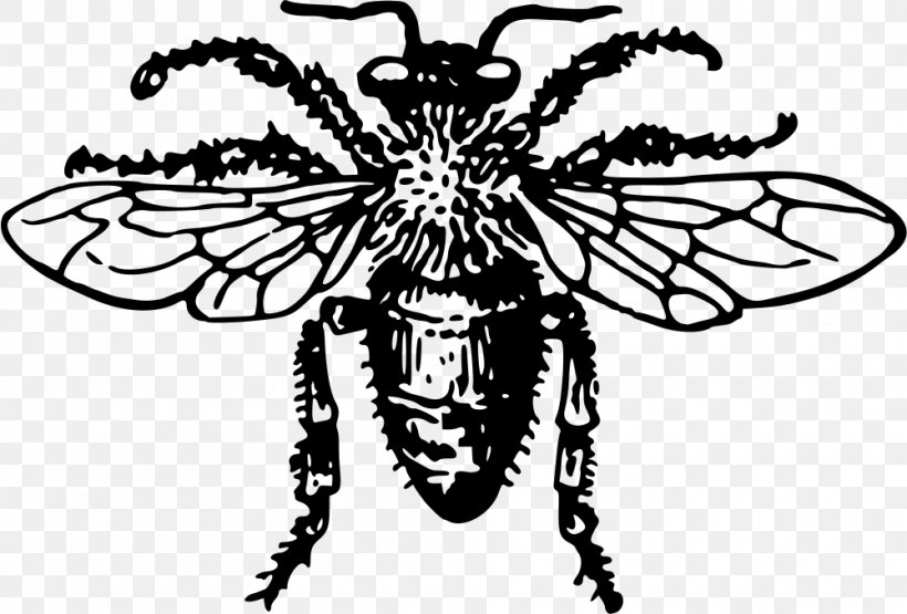 Western Honey Bee Insect Clip Art, PNG, 1000x678px, Bee, Arthropod, Black And White, Bumblebee, Fictional Character Download Free