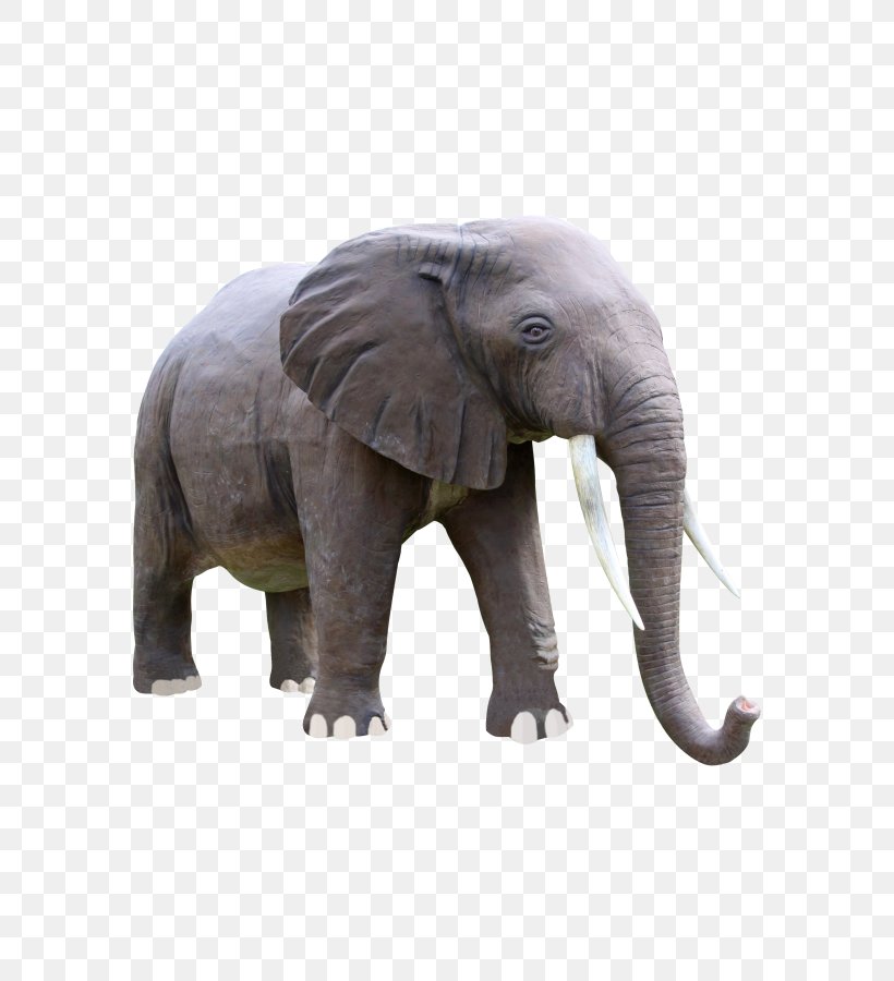 Elephant Background, PNG, 600x900px, Indian Elephant, African Bush Elephant, African Elephant, Animal, Animal Figure Download Free