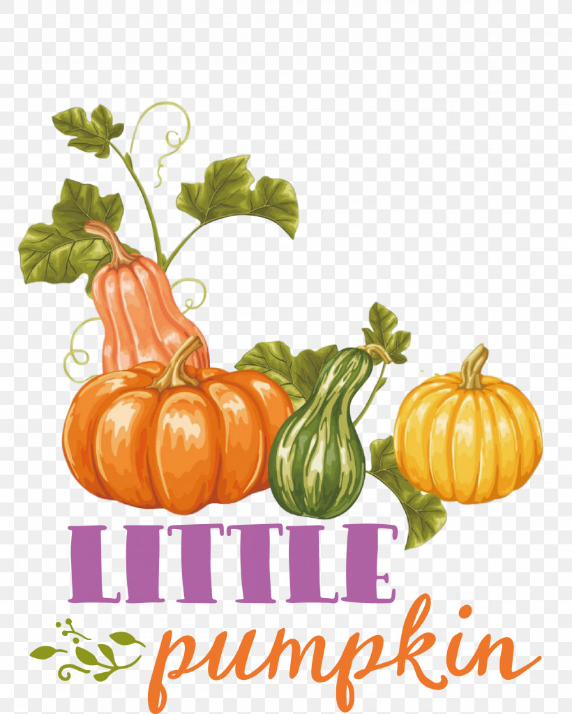 Little Pumpkin Thanksgiving Autumn, PNG, 2305x2877px, Little Pumpkin, Autumn, Candy Apple, Field Pumpkin, Jackolantern Download Free
