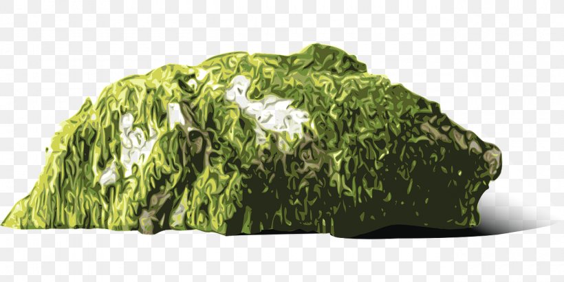 Moss Clip Art, PNG, 1280x640px, Moss, Grass, Leaf Vegetable, Mauer, Raster Graphics Download Free