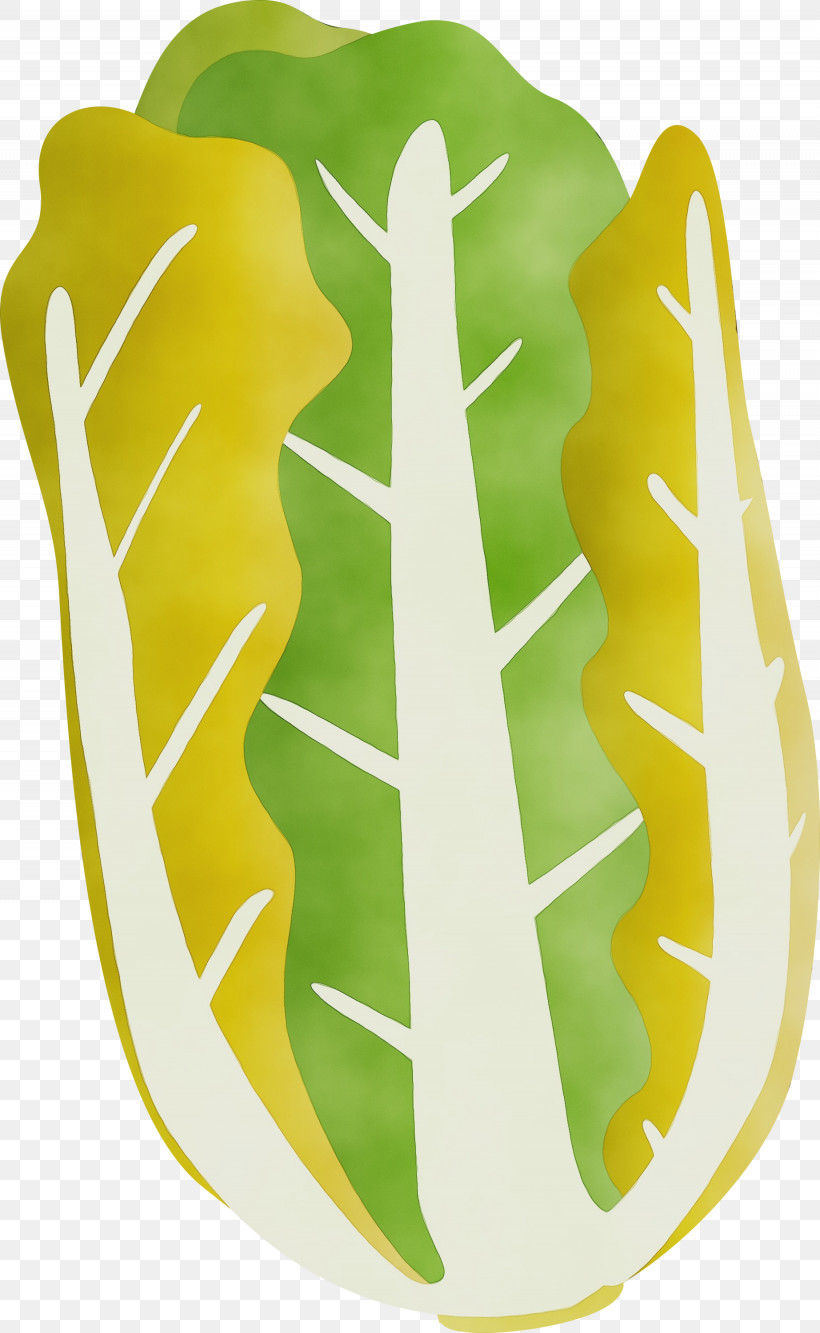 Yellow Green Leaf Font, PNG, 1845x3000px, Nappa Cabbage, Green, Leaf, Paint, Watercolor Download Free