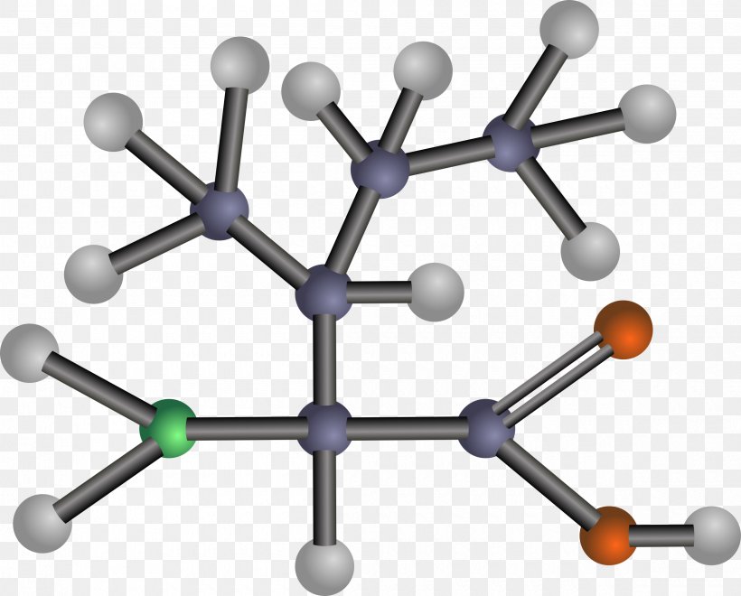 Branched-chain Amino Acid Amine Lysine, PNG, 2400x1932px, Amino Acid, Acid, Amine, Aspartic Acid, Body Jewelry Download Free