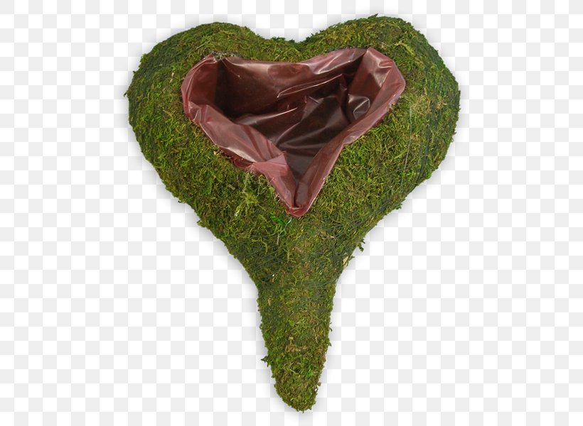 Heart, PNG, 600x600px, Heart, Grass, Leaf Download Free