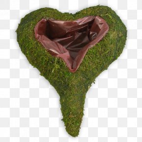 Heart PNG