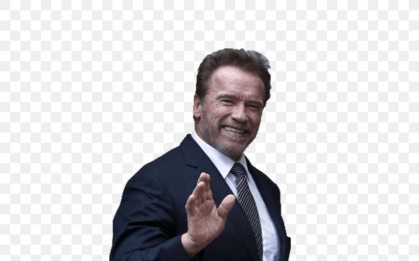 Arnold Schwarzenegger The Terminator Film Republican Party, PNG, 512x512px, Arnold Schwarzenegger, Actor, Business, Businessperson, Chin Download Free