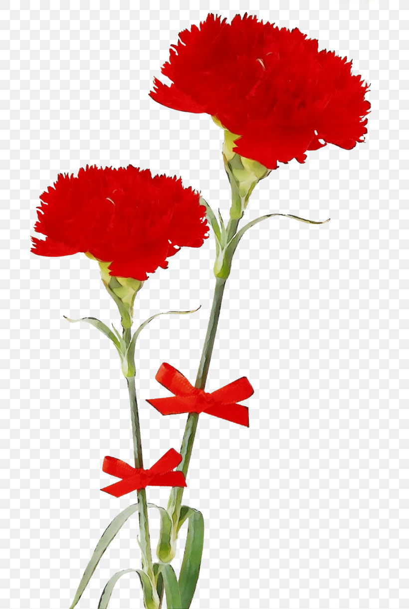 Artificial Flower, PNG, 700x1221px, Watercolor, Artificial Flower, Carnation, Coquelicot, Corn Poppy Download Free