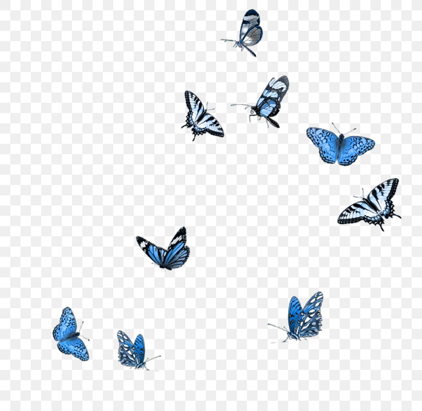 Butterfly Photography Clip Art, PNG, 794x800px, Butterfly, Animal Figure, Blue, Butterflies And Moths, Insect Download Free