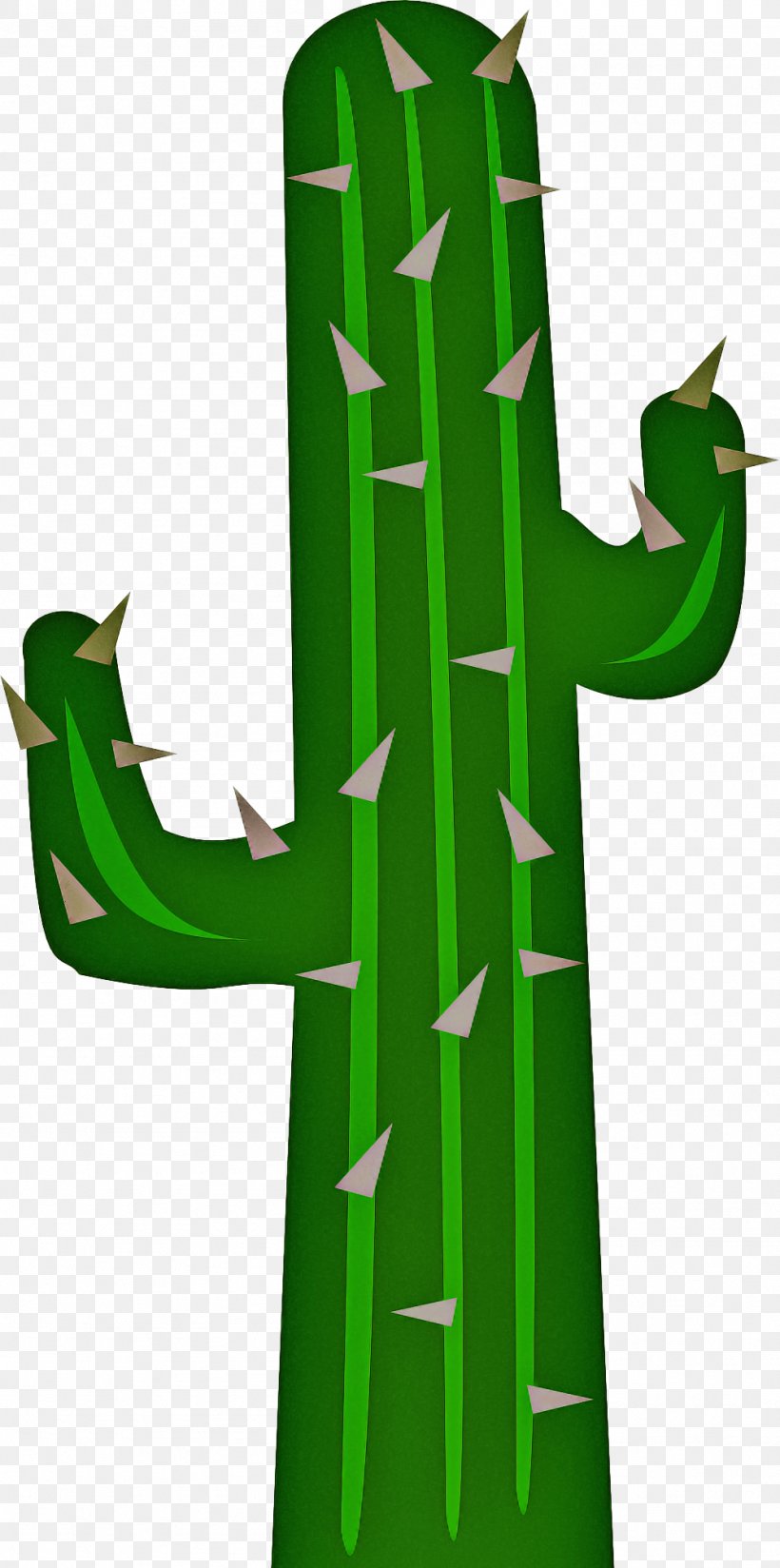 Cactus, PNG, 999x2008px, Green, Cactus, Fictional Character, Plant, Succulent Plant Download Free