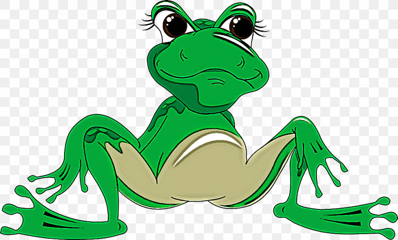 Green True Frog Cartoon Frog Shrub Frog, PNG, 1000x603px, Green, Cartoon, Frog, Hyla, Shrub Frog Download Free