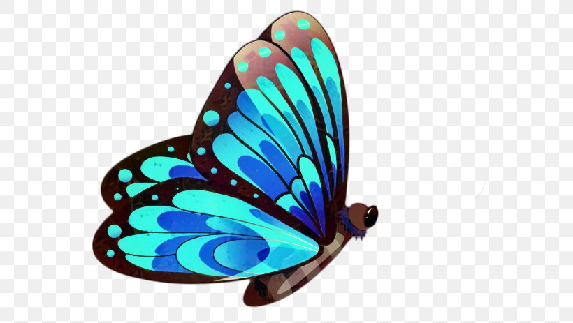 Glasswing Butterfly Clip Art Insect Transparency, PNG, 600x463px, Glasswing Butterfly, Birdwing, Blue, Brushfooted Butterfly, Butterflies Download Free