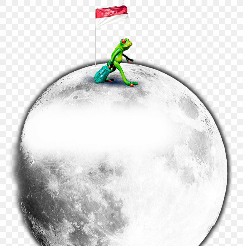 Sporting Goods Moon, PNG, 957x967px, Sporting Goods, Moon, Sport, Sports Equipment Download Free
