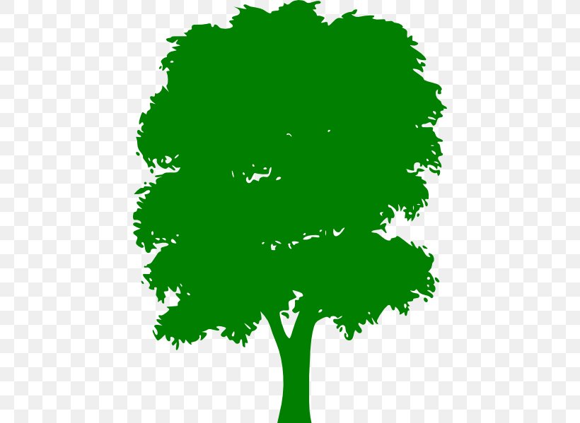 Tree Green Clip Art, PNG, 444x599px, Tree, Arecaceae, Art, Branch, Drawing Download Free