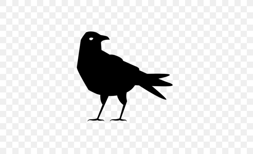 American Crow Clip Art, PNG, 500x500px, American Crow, Animal, Beak, Bird, Black And White Download Free