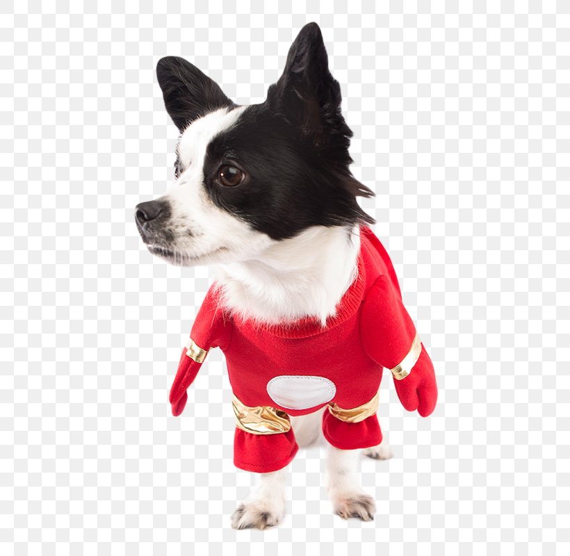 Dog Breed Puppy Affenpinscher Costume Clothing, PNG, 800x800px, Dog Breed, Affenpinscher, Cape, Carnivoran, Clothing Download Free