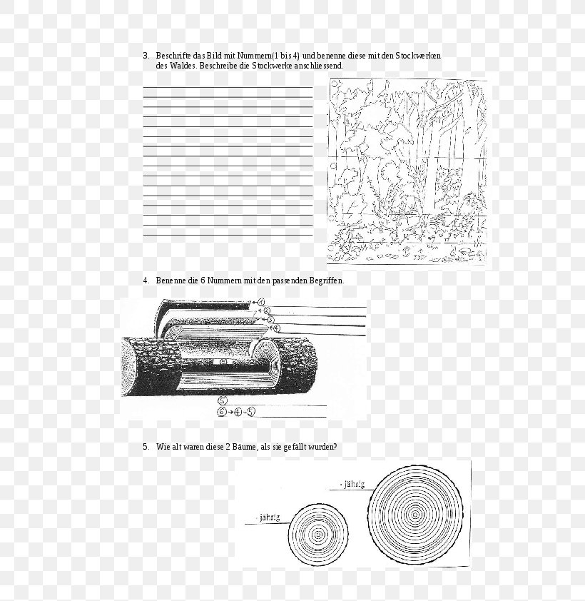 Forest Storey Paper Sketch, PNG, 595x842px, Forest, Black And White, Diagram, Drawing, First Principle Download Free
