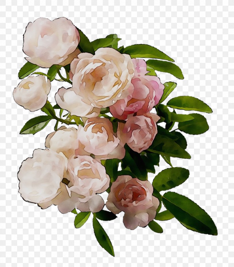 Garden Roses Floral Design Cabbage Rose Floribunda Flower, PNG, 1080x1231px, Watercolor, Cartoon, Flower, Frame, Heart Download Free