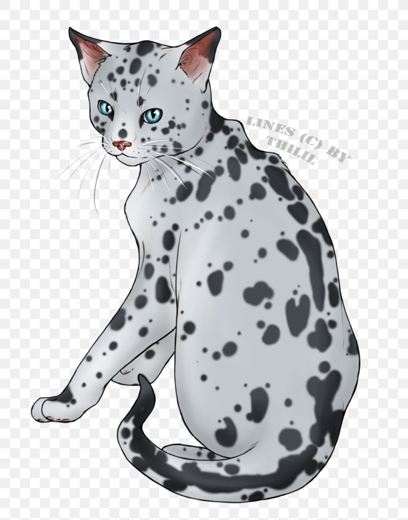 American Shorthair California Spangled Ocicat Egyptian Mau Whiskers, PNG, 766x1044px, American Shorthair, British Shorthair, California Spangled, Carnivoran, Cat Download Free