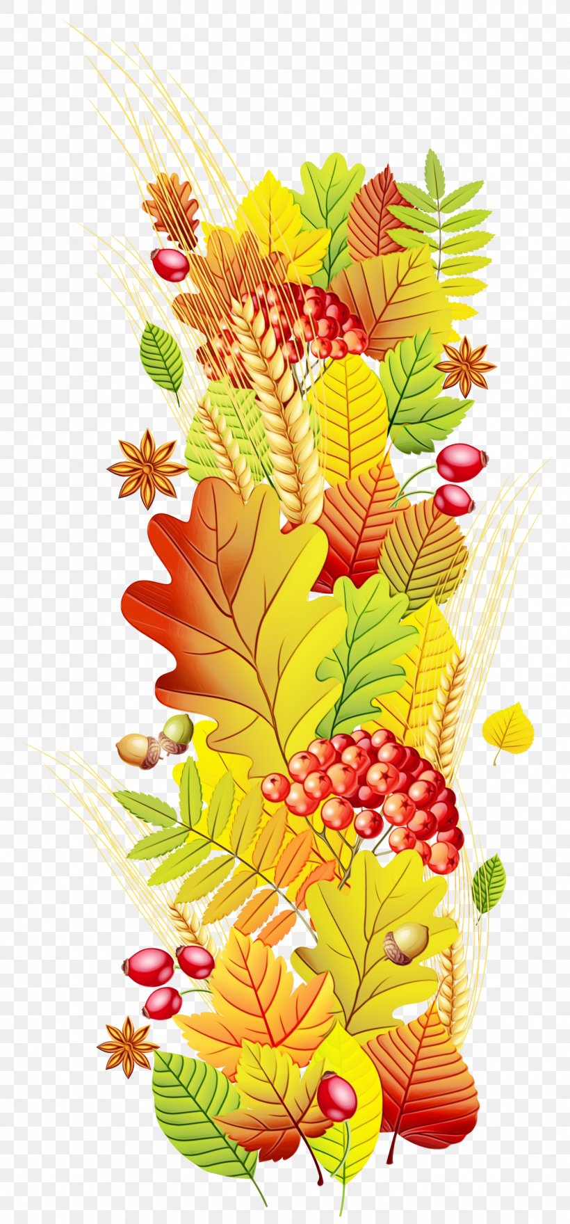 Autumn Leaf Drawing, PNG, 1397x2999px, Watercolor, Autumn, Autumn Leaf Color, Drawing, Flower Download Free