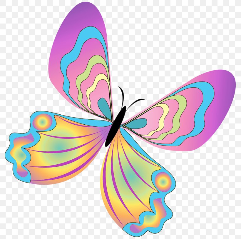 Butterfly Clip Art, PNG, 798x813px, Butterfly, Blog, Brush Footed Butterfly, Butterflies And Moths, Clip Art Download Free