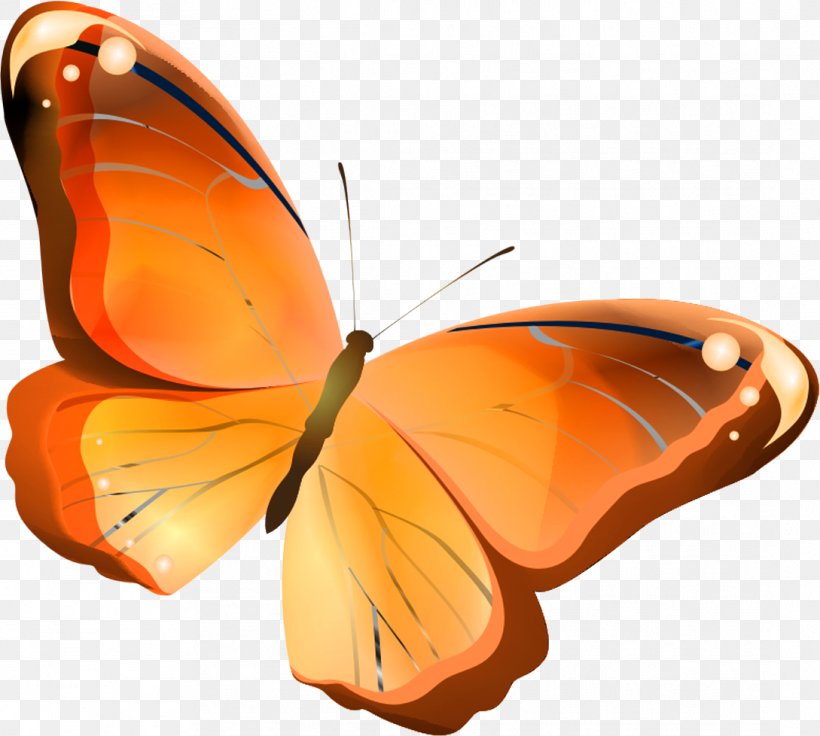 Butterfly Orange Insect Drawing, PNG, 1089x978px, Butterfly, Anthocharis Cardamines, Arthropod, Brush Footed Butterfly, Butterflies And Moths Download Free