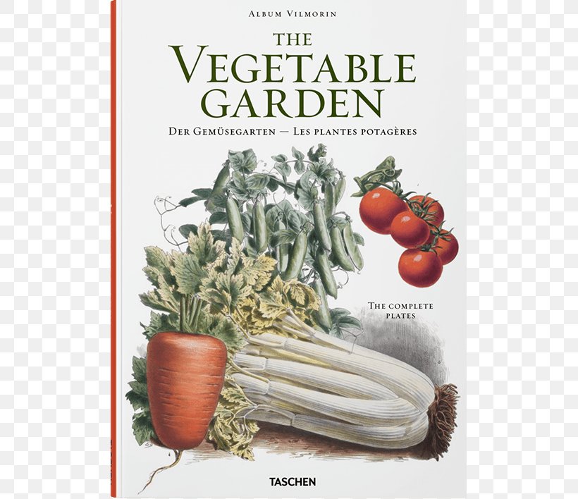 Gemüsegarten Vegetable Garden Vilmorin Amazon.com, PNG, 570x708px, Vegetable, Amazoncom, Food, Fruit, Fruit Vegetable Download Free
