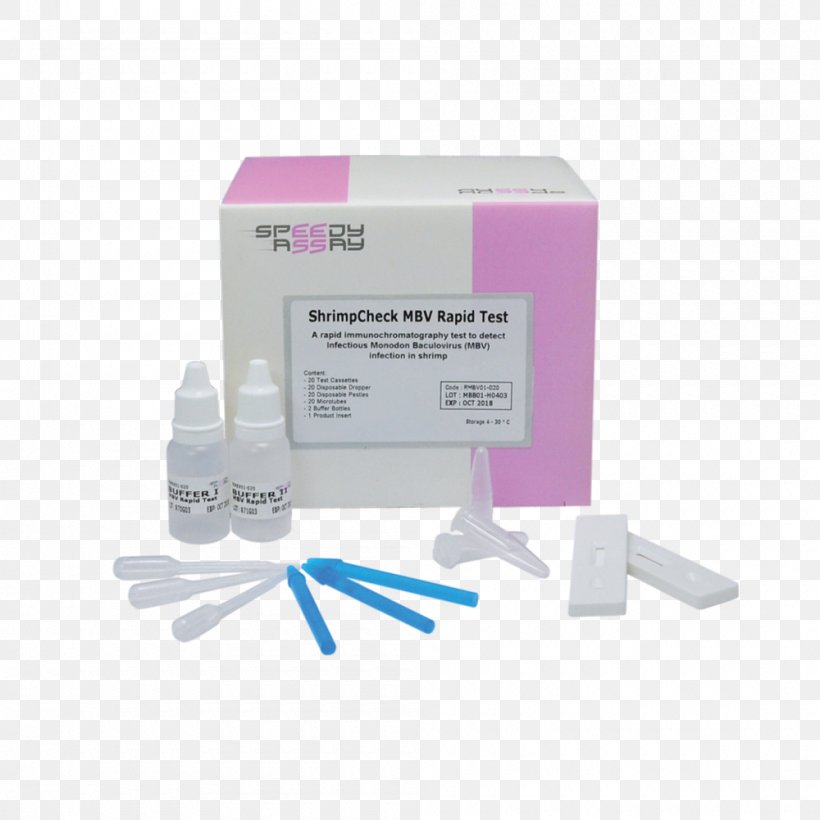Rapid Diagnostic Test Real-time Polymerase Chain Reaction DNA Extraction, PNG, 1000x1000px, Rapid Diagnostic Test, Asia, Asian People, Dna Extraction, Magenta Download Free