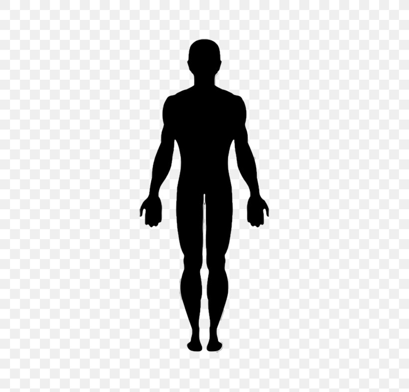 Body Silhouette Vector Art, Icons, and Graphics for Free Download